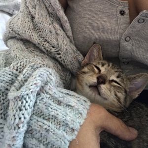 Meet your Posher, Abigail